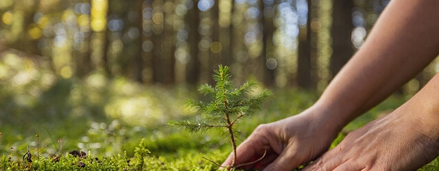 Biodiversity Management