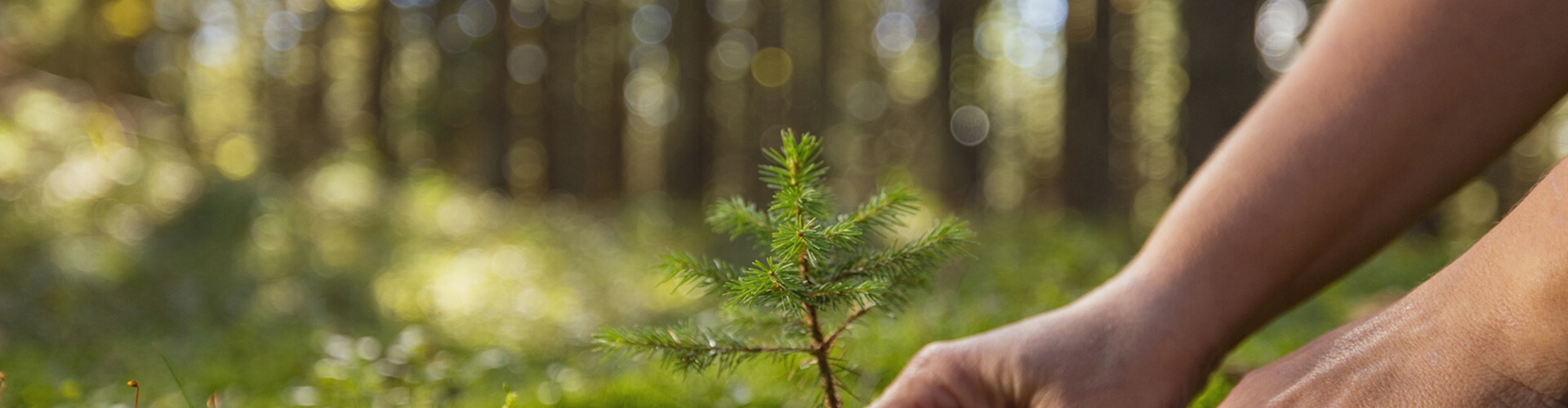 Biodiversity Management