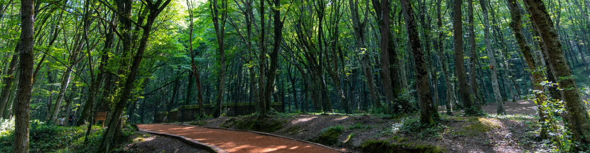 Climate Adaptation and Resilience