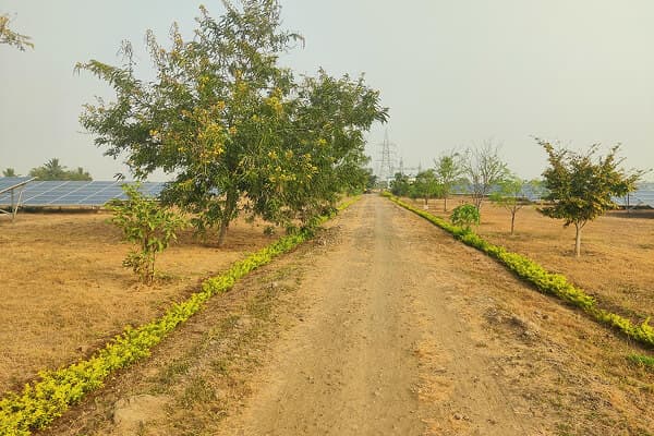 Environmental Policy