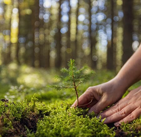 Biodiversity Management