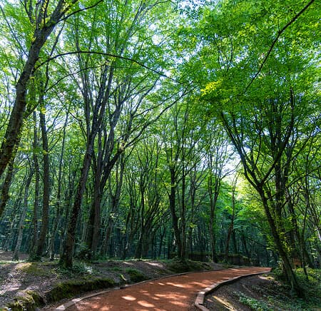 Climate Adaptation and Resilience