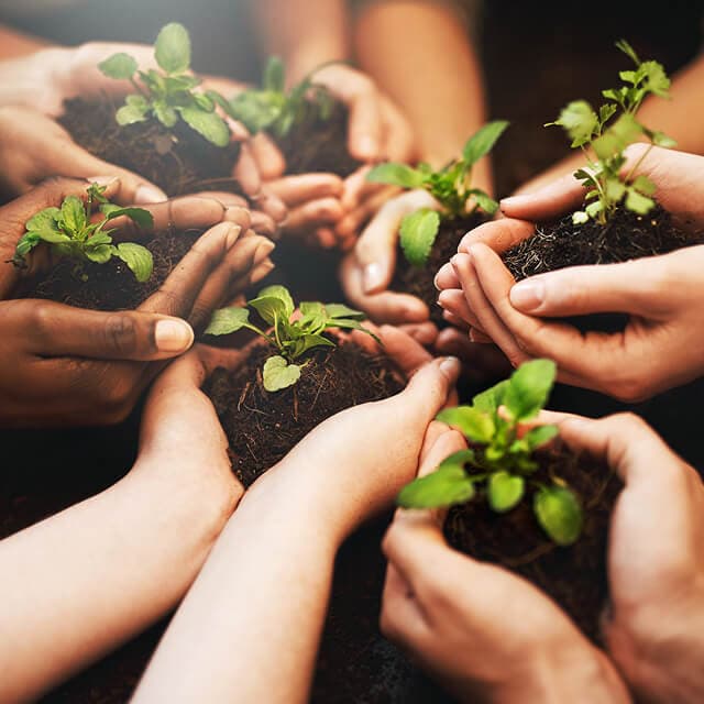 BetterTogether Platform