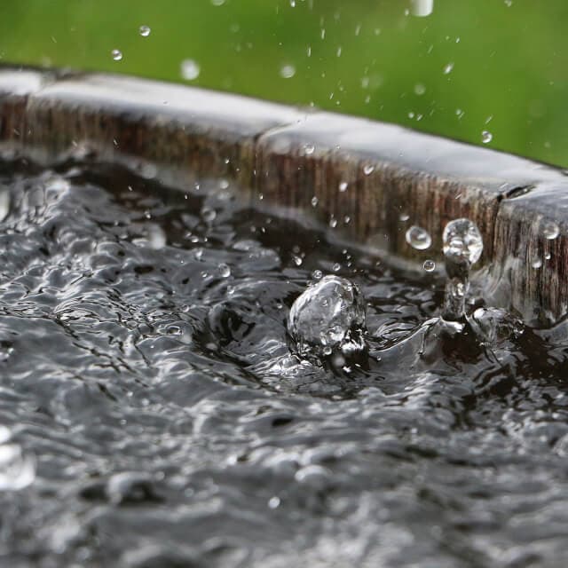 Conserve natural resources